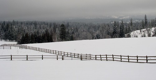 county trees winter white snow mountains fog fence landscape january washingtonstate pendoreille canonpowershot inlandnorthwest marilynhassler omadarlingphotography