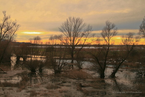 winter sunset sky ice water canon reflections river landscape austria melting lad slovakia merch osterreich palo zima boarder morava bartos rieka obloha oblaky hranica chucknorrisbridge bartoš devínskanováves topenie