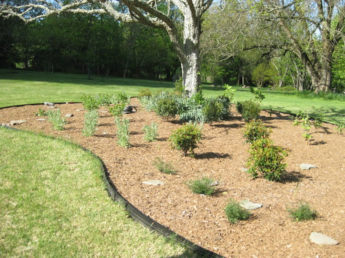 Conservation Landscaping 