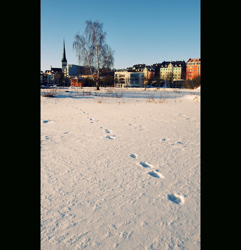 nikon tallinn estonia earlymorning cp 2470mm 2013 nikcolorefex d700