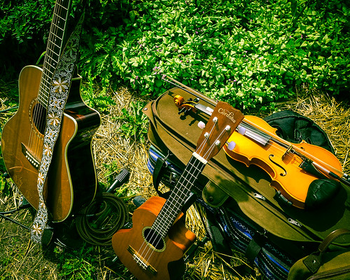 instrument violin ukulele acousticguitar musicalinstrument plants outdoor color boyerrivergardensandgifts tomatotasting