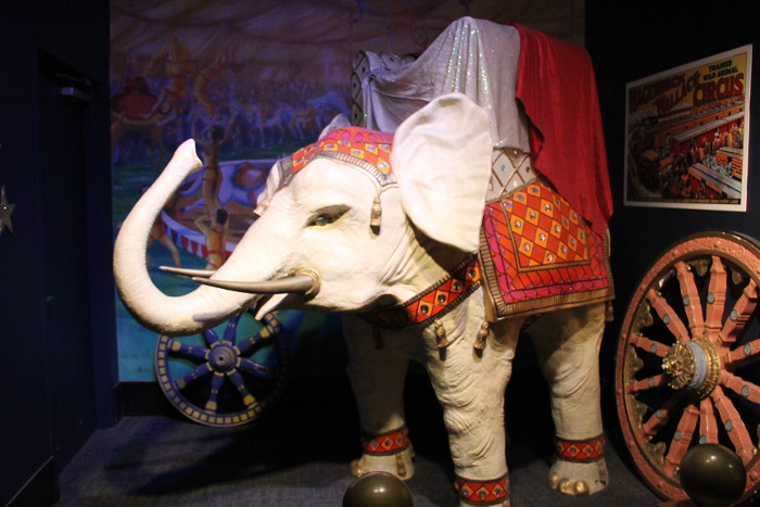 circus_elephant