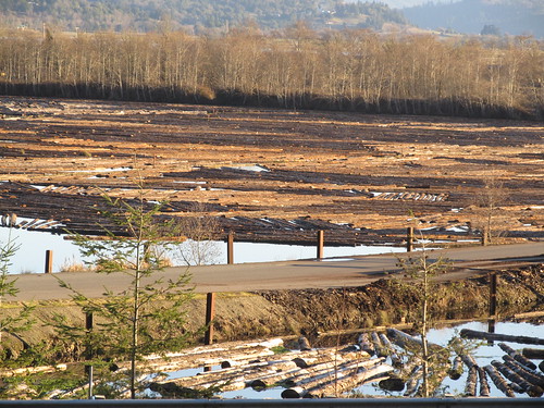 water oregon or logs floatinglogs coqilleor