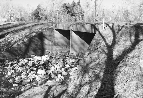 county bridge blackandwhite bw white black monochrome concrete blackwhite texas madison midway culvert pontist