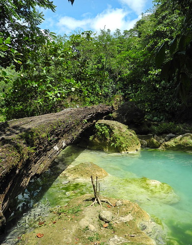 creek river log philippines rotten philippinen negrosoriental magasofalls