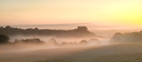 dog walking redwellwood sunrise iphone5 landscape hertfordshire