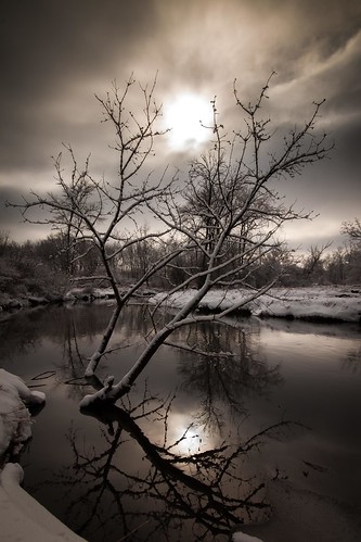 sun snow tree water clouds canon branch 500d dramaticclouds dupageriver bluffspringsfen forestpreservedistrictofcookcounty fpdcc t1i kevinrodde kevinroddephoto kevinroddephotography