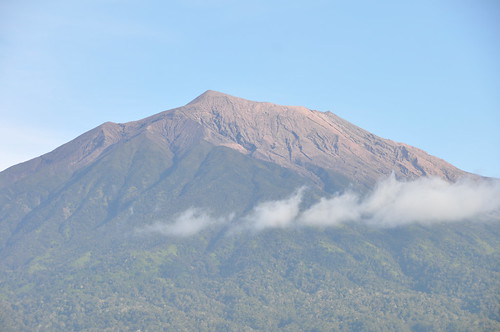 forest sumatra indonesia fire volcano tea ring jungle plantation gunung volcanic active kerinci