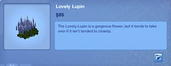 Lovely Lupin