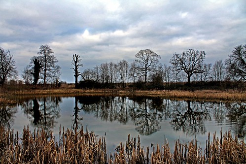 trees sky lake reflection water silhouette clouds bedford pond bare bedfordshire felton lumen runoff roxton robertfelton balancingpond