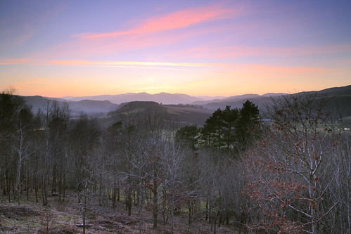 trees sunset mist mountains scotland perthshire crieff munros southernhighlands strathearn leefilters canoneosm
