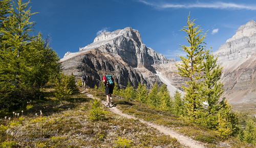 summer people mountains nature beautiful wonderful landscape view bright outdoor scenic sunny bluesky banff wilderness outdoorrecreation