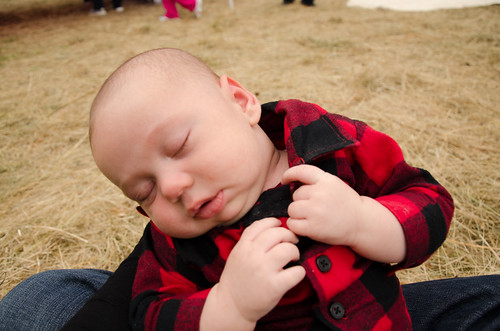 sleepy at the fair