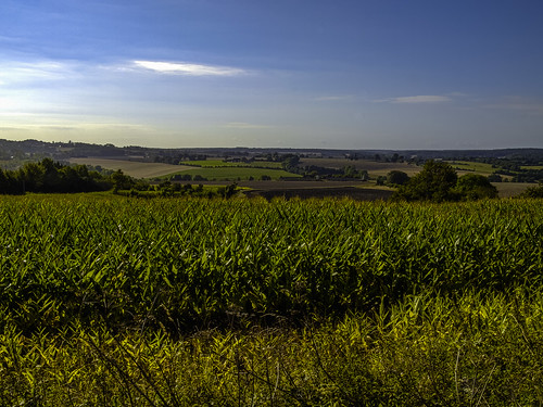 france nature field landscape cornfield centre pasture scenary pastoral paysage fr contrejour champ pastureland pâturage champdemaïs vichères