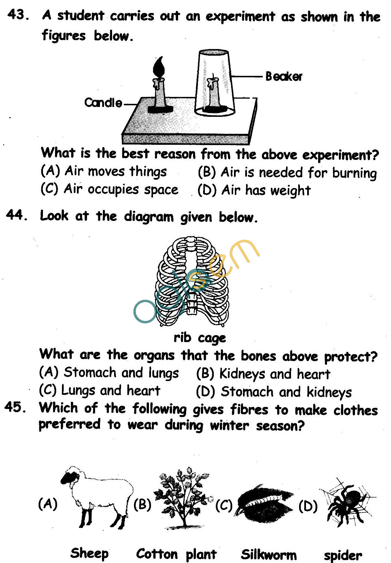 NSTSE 2010 Class II Question Paper with Answers Science