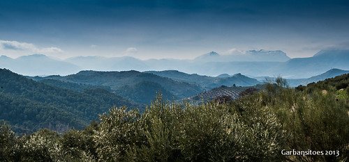 españa paisaje sierra panoramica olivos jaén olivares lapandera garbansitoes ingenieríavelasco audiovisualesvelasco
