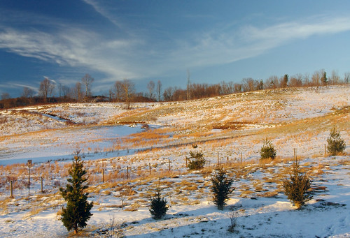 winter snow cold nature rural landscape farm country farmland hills bleak
