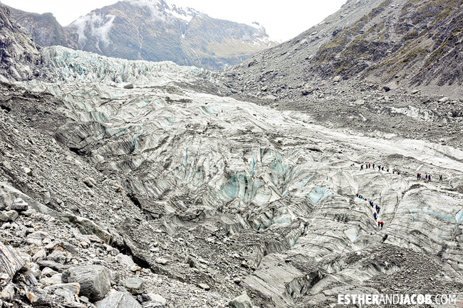 Fox Trot Fox Glacier NZ | Glacier Hiking in South Island New Zealand
