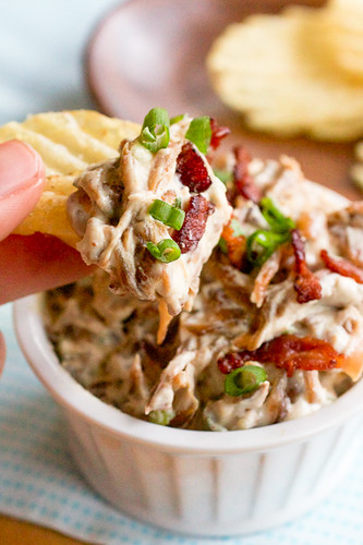Bacon, Scallion and Caramelized Onion Dip