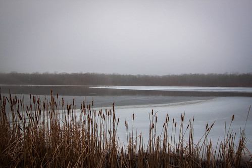 lake pa cotton poconos icylake winterlandscape icywater uppermountbethel minsilake