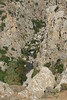 Kreta 2008 172