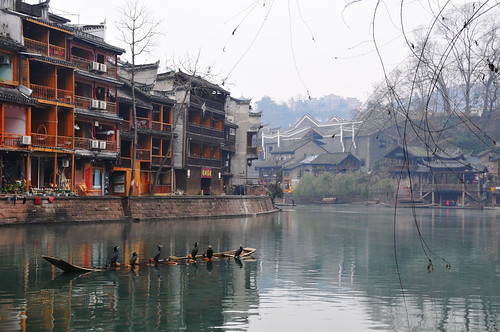 china house reflection tree river unesco fenghuang hunan 中國 鳥 河流 建築物 樹 湖南 鳳凰古城 沱江 倒影