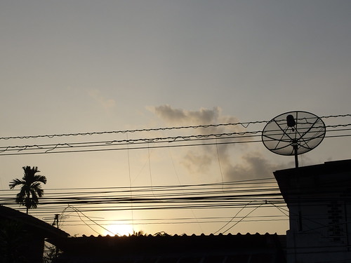 sunset copyright rooftop silhouette asian thailand evening abend wire media asia asien heiconeumeyer seasia soasien southeastasia südostasien wiring sonnenuntergang cable wires powerline siam powercable th satellitedish kabel electricwires electricwire nakhonsithammarat copyrighted muang satellitenschüssel stromkabel electriccable mueang 2013 satellitereception satellitenempfang meuang dishaerial nakhonsithammaratprovince rooftopdish tp201213 chanwatnakhonsithammarat meuangnakhonsithammarat muangnakhonsithammarat mueangnakhonsithammarat nakhonsithammarattown