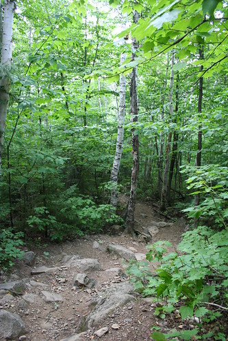 park new mountain canada forest brunswick trail sugarloaf provincial