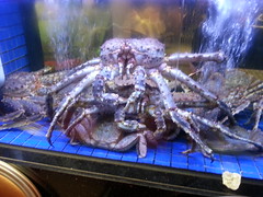 Friends visiting Macau - Giant Alaska King Crabs