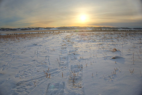 park winter sunset snow cold calgary dusk footprints alberta glenbow