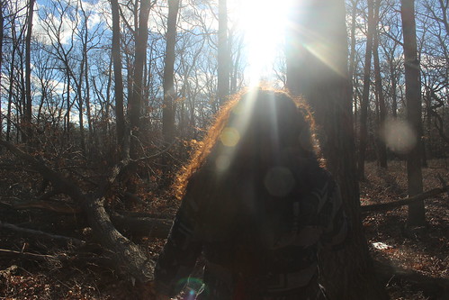 light sky sun walking woods hiking woody leaks