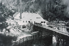 Point Wolfe Sawmill and Dam