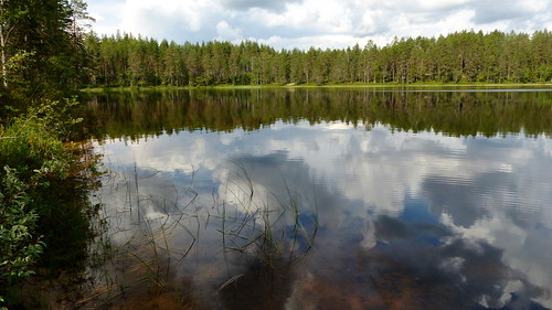 2016 201606 20160630 fin finland fz200 geo:lat=6350446700 geo:lon=2812175100 geotagged june lake landscape pohjoissavo rautavaara roskunvalkeinen summer