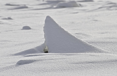 schnee winter lake snow canada ice see manitoba eis lakeofthewoods lispeltuut nikond5000