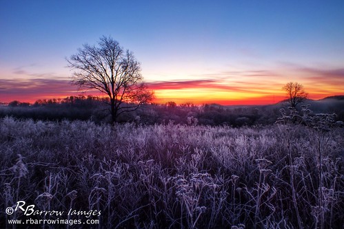 tree grass sunrise dawn frost tn nashville tennessee bellsbendpark