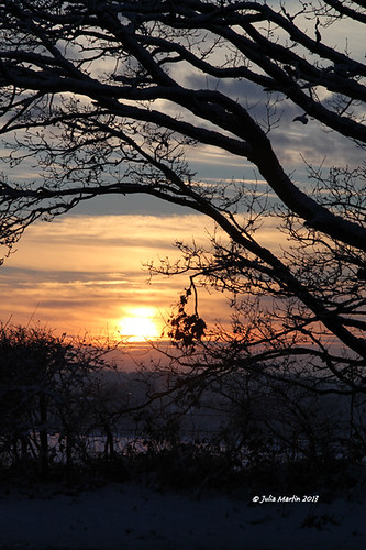 trees winter sunset clouds canon norfolk norwich hedges eos60d