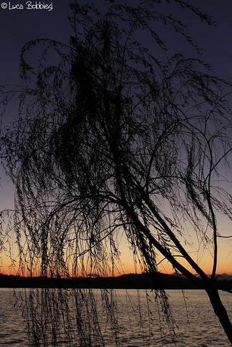 sunset lake tree tramonto varese gavirate ef1740mmf4lusm canoneos7d