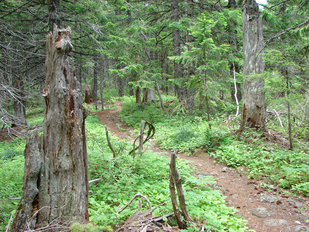 Mitchell Point Trail