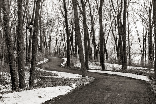 trees winter bw snow canada lamp monochrome quebec path montreal eerie trail promenade grayscale iledessoeurs verdun nunsisland canoneos7d 2470lii