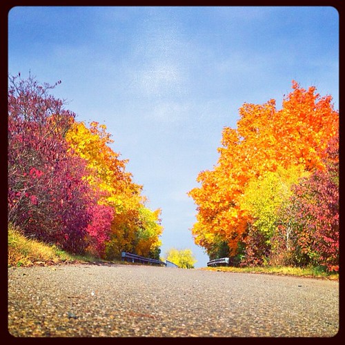 autumn hdrpro uploaded:by=flickstagram instagram:photo=303062548353448