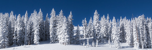 trees mountain snow nature pine canon landscape eos colorado scenic jim covered monarch crestedbutte truscott