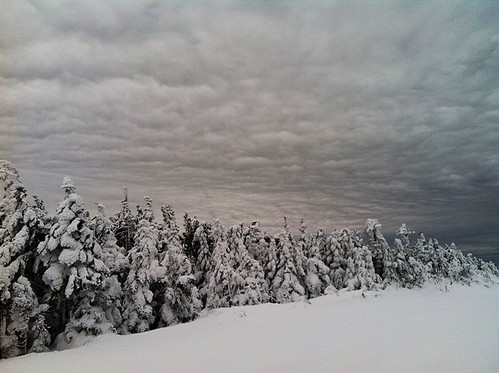 trees sky snow ski clouds vermont stratton iphone uploaded:by=flickrmobile flickriosapp:filter=nofilter