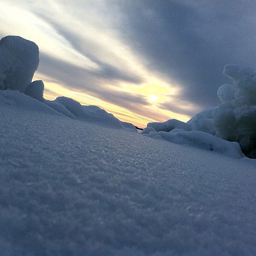 winter sunset sea sun tree ice beach clouds square frozen sweden baltic squareformat sverige treestump örnsköldsvik iphoneography instagramapp uploaded:by=instagram foursquare:venue=4e0cc28c1838fa426acb6d25