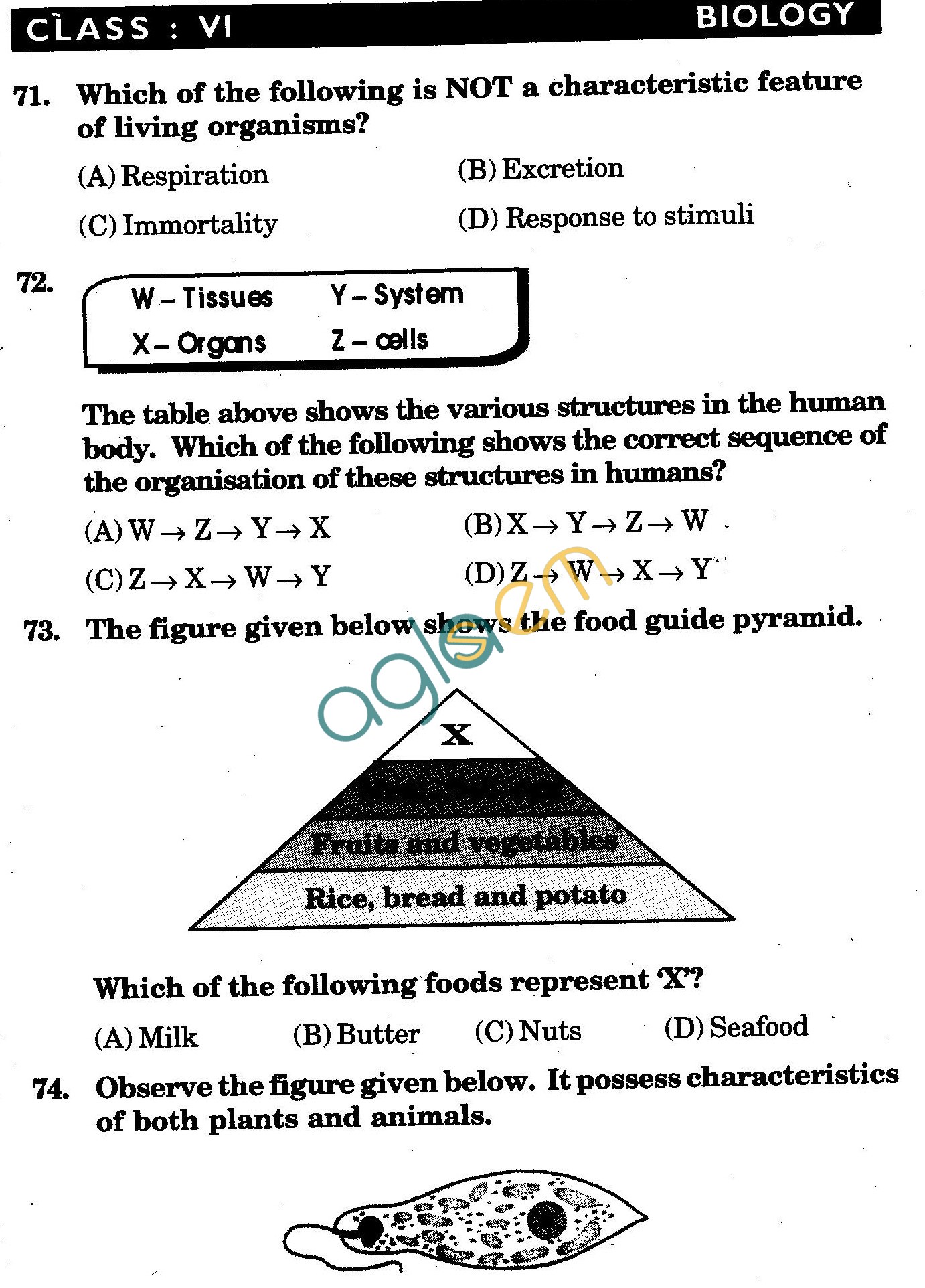 NSTSE 2010: Class VI Question Paper with Answers - Biology