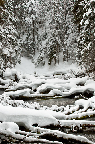 winter snow canada water bc snowshoeing livingstonesprings pgnc princegeorgenaturalistsclub