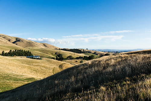 leica newzealand grass 35mm landscape farm 14 rangefinder hills asph masterton m9 fle summiluxm alienskinexposure