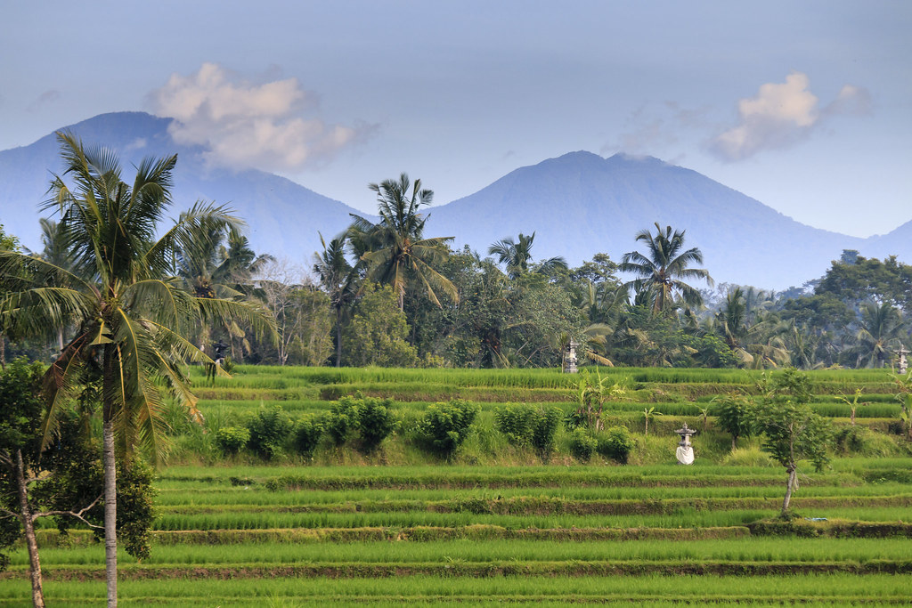 Rizières et Mont Agung (Bali)