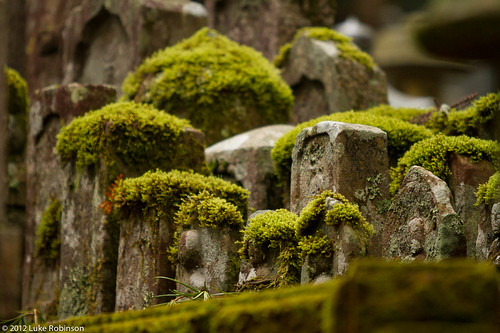 cemetery graveyard japan religious asia buddhist religion graves koyasan 2012 okunoin wakayamaprefecture itodistrict