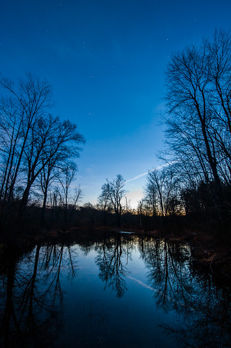 trees sunset sky reflection water newcastle stars virginia pond unitedstates dusk