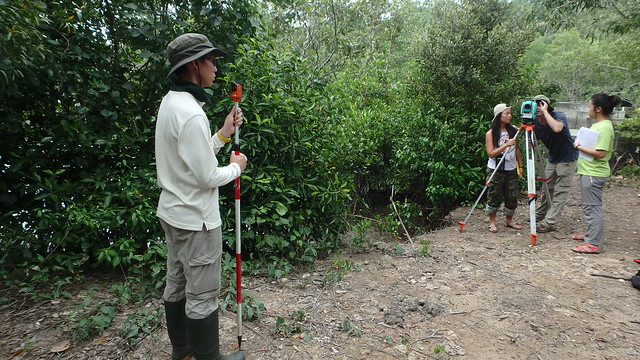 Restore Ubin Mangroves (R.U.M.) Initiative practicing mapping mangroves